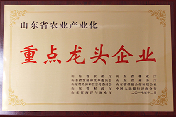 企業(yè)風采